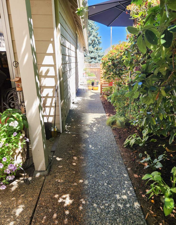 Concrete walkway mid-clean
