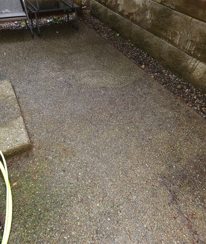 Patio before soft wash